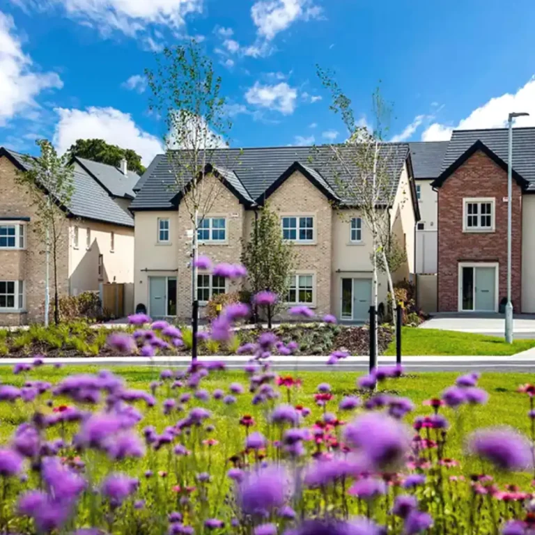 Ballymore Projects - Longstone, Naas